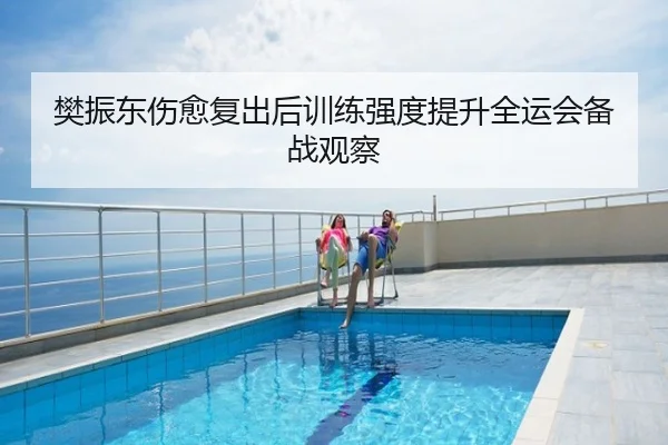 樊振东伤愈复出后训练强度提升全运会备战观察